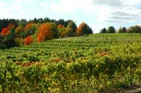 Traverse City Environs