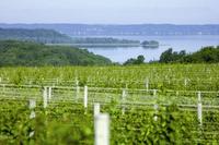 Traverse City Environs Traverse City Environs