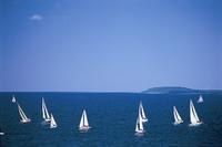 Traverse City Environs Traverse City Environs